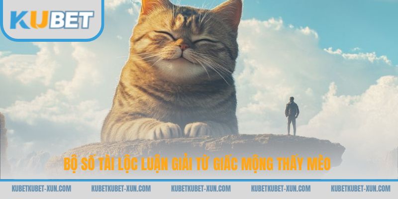 Bộ số tài lộc luận giải từ giấc mộng thấy mèo