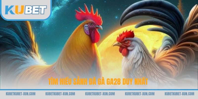 Tìm hiểu sảnh đá gà GA28 duy nhất